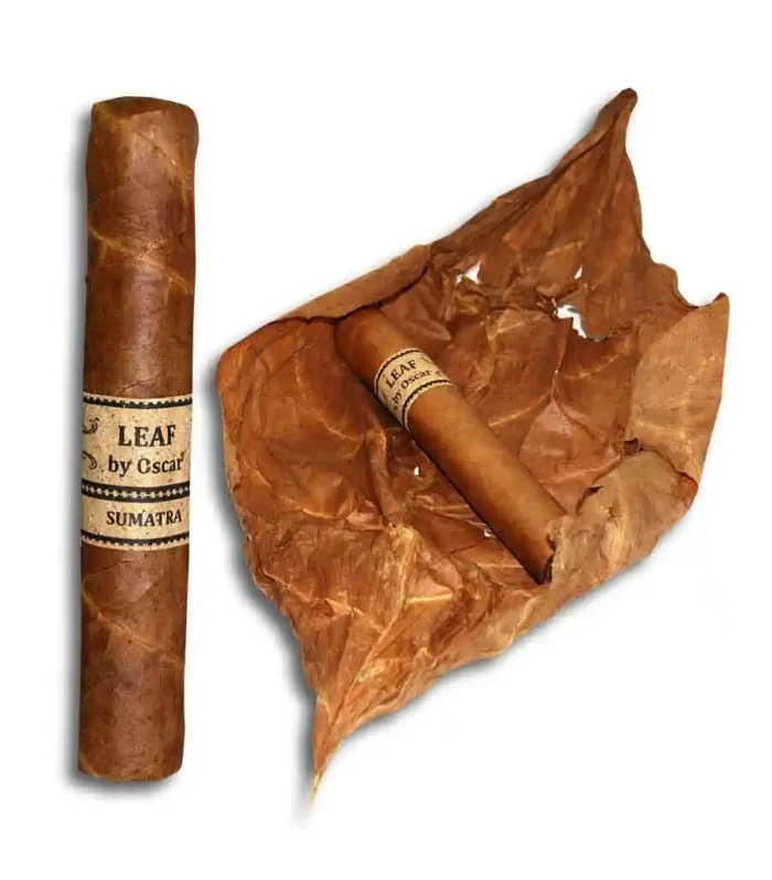 Leaf By Oscar Sumatra Gordo