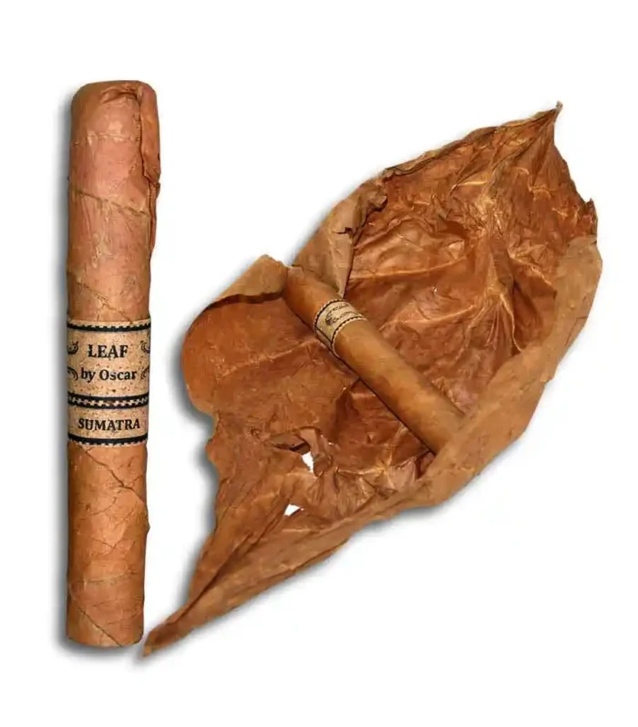 Leaf By Oscar Sumatra Toro