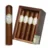 Box of 16